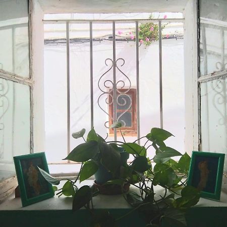 Villa Merced 贝赫尔-德拉弗龙特拉 外观 照片