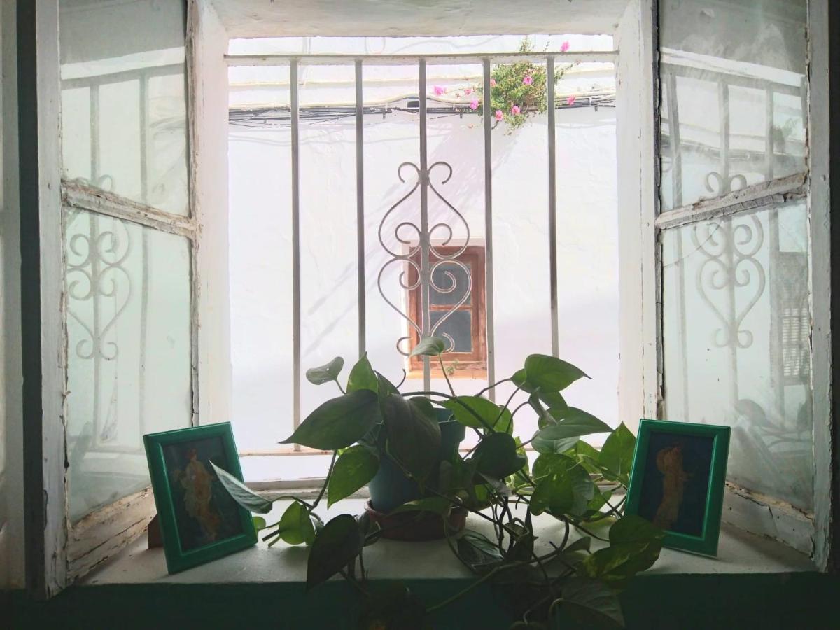 Villa Merced 贝赫尔-德拉弗龙特拉 外观 照片